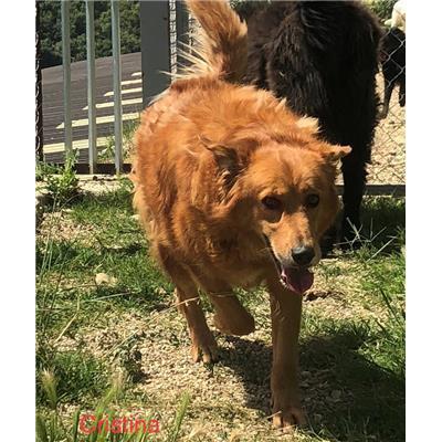 Comune di  MONTALTO UFFUGO - 380260010185759